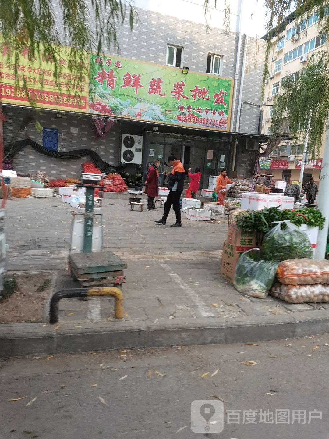 张子龙精鲜蔬菜批发