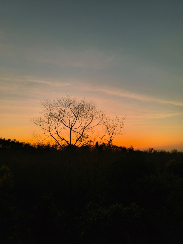 屯昌紫京皇冠酒店