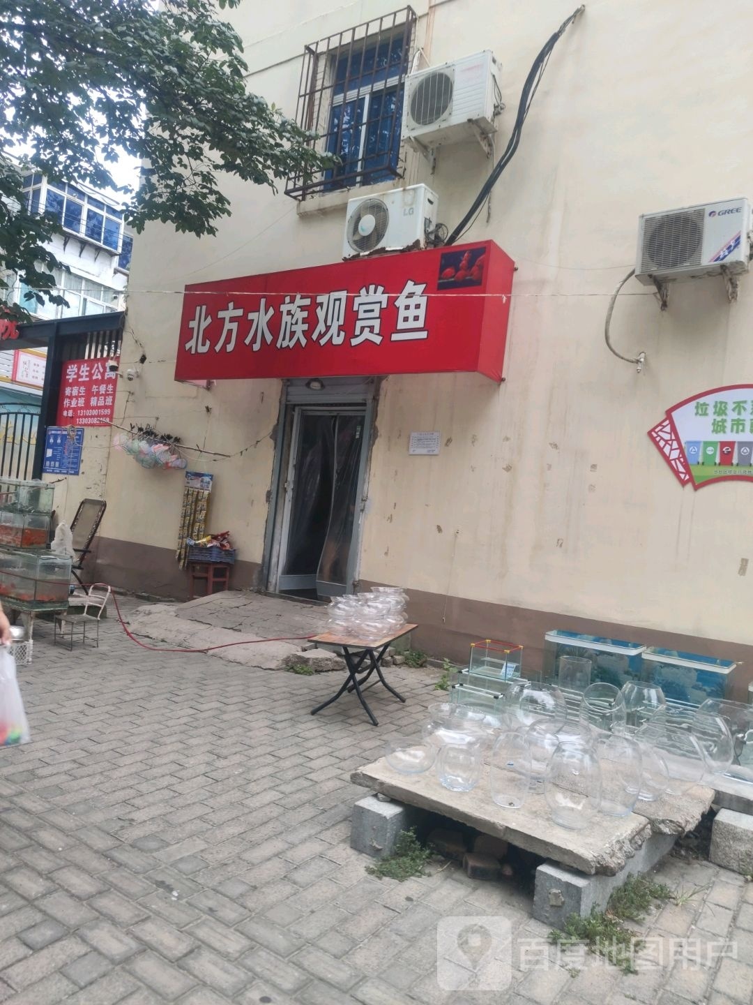 北方水族观赏鱼