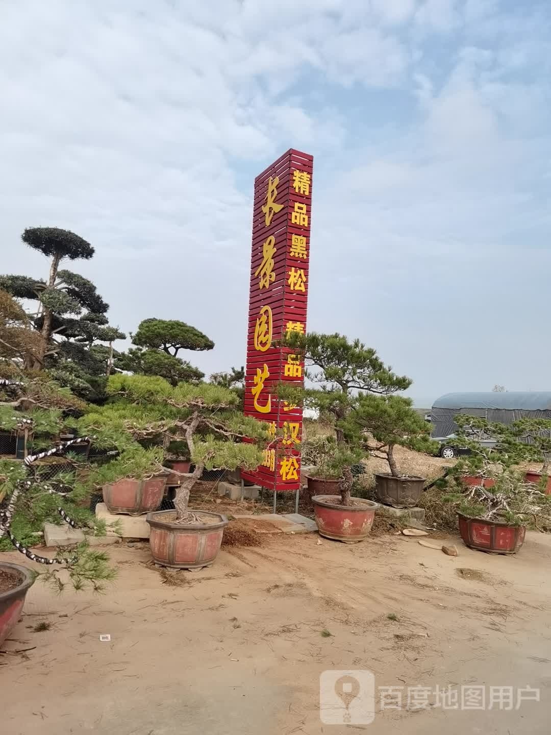 长景园艺(华中花木大世界店)