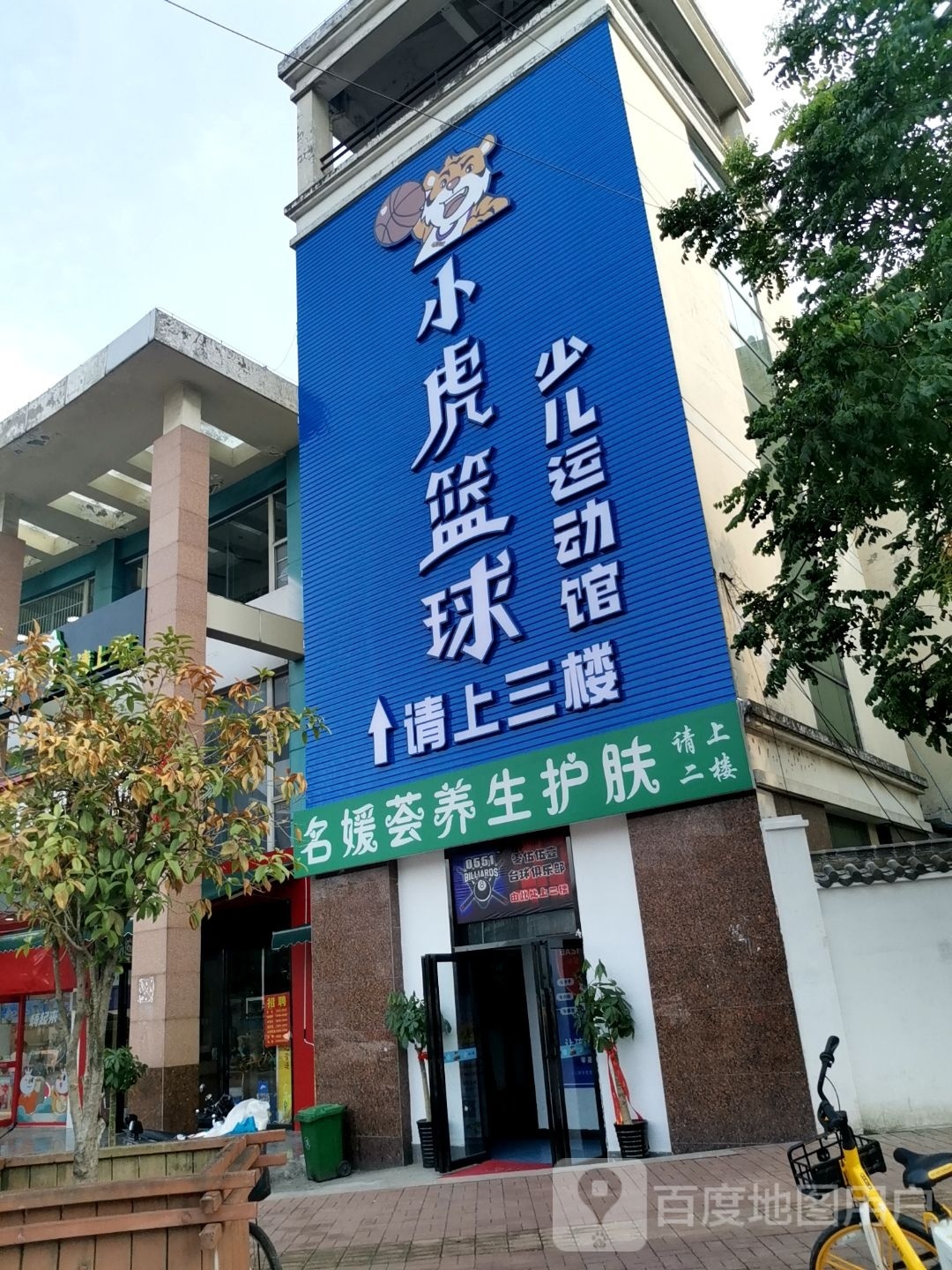 小虎篮球少儿运动馆(包河苑店)