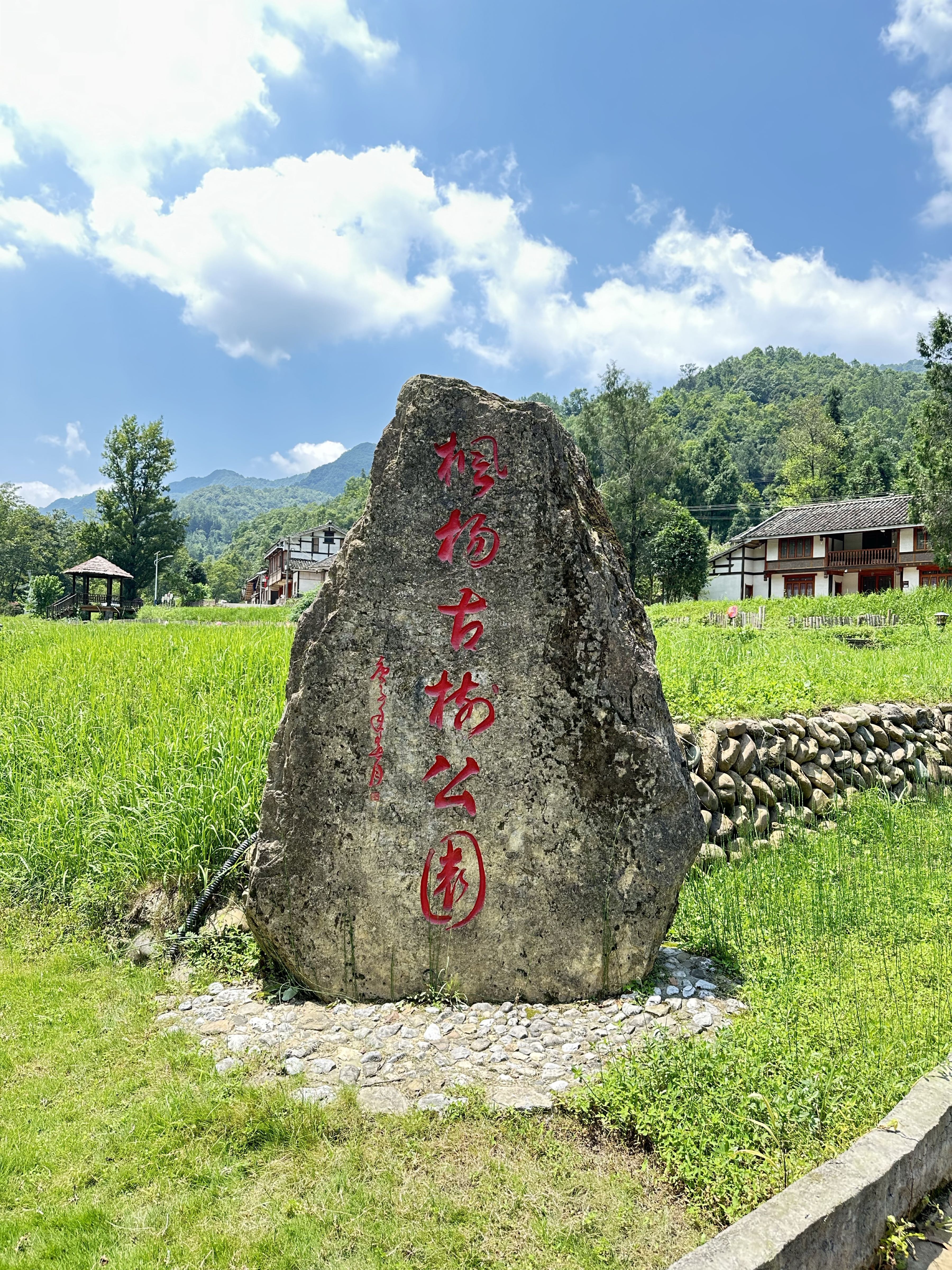 枫杨古树公园
