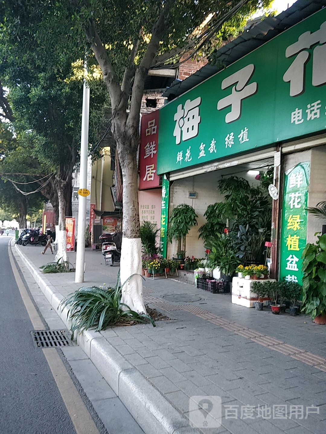 梅子花店