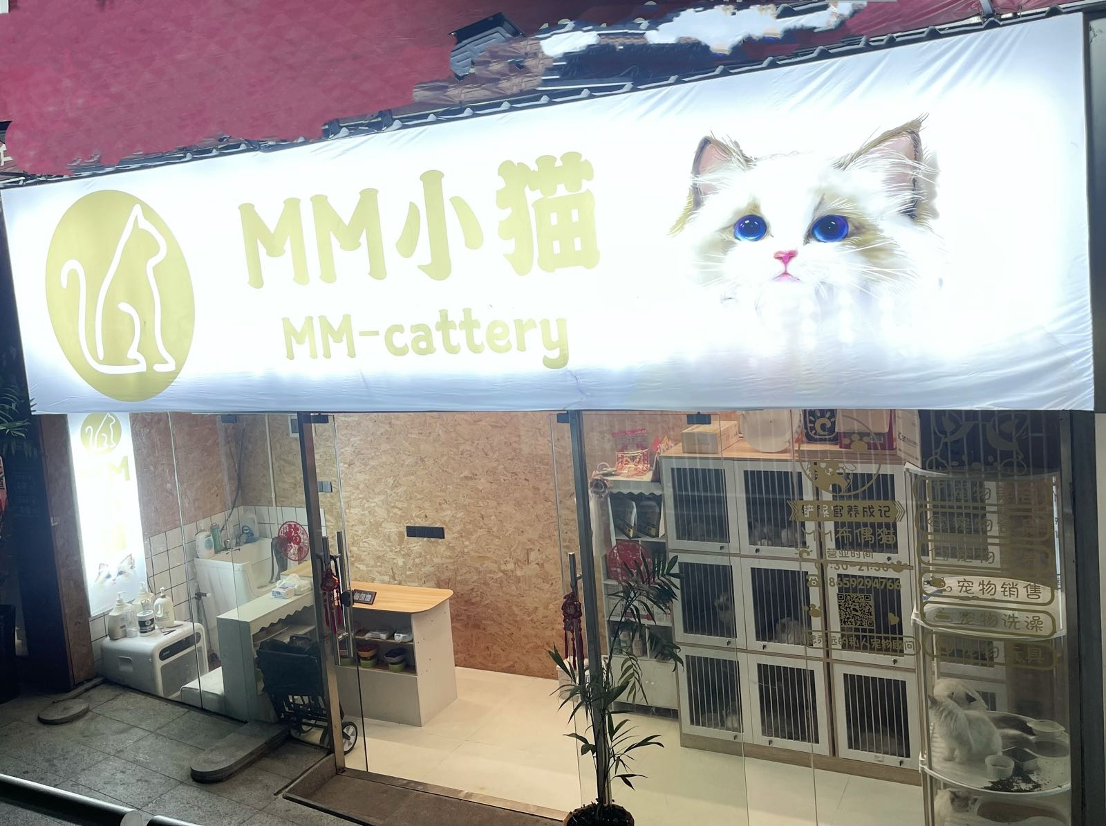 MM小毛宠物店