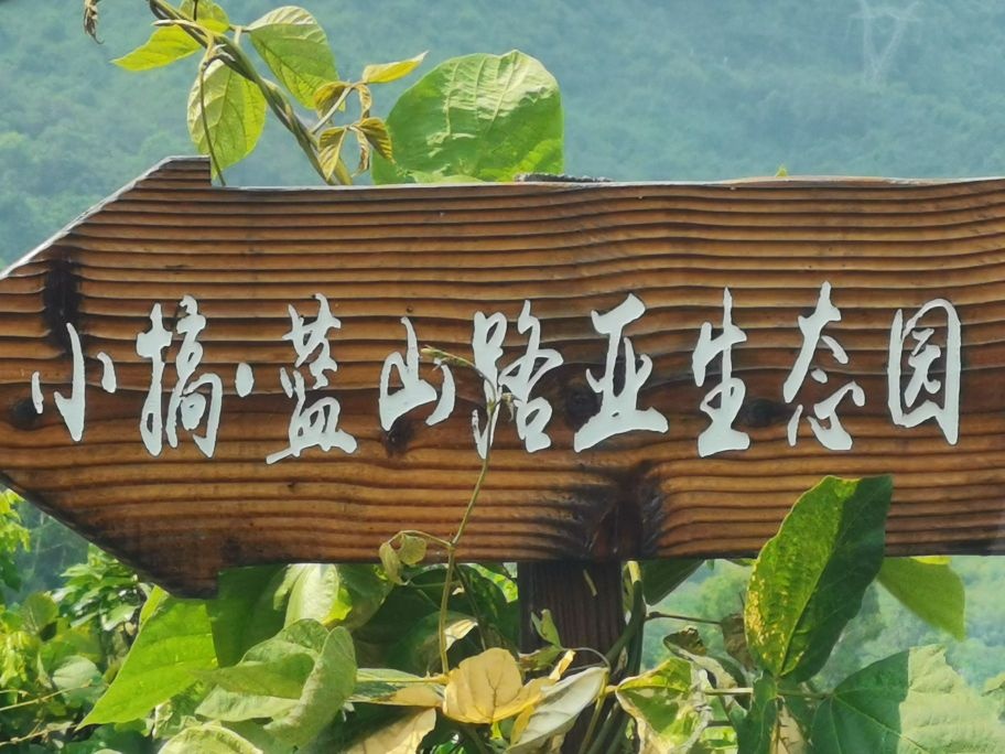 小搞·蓝山路亚基地