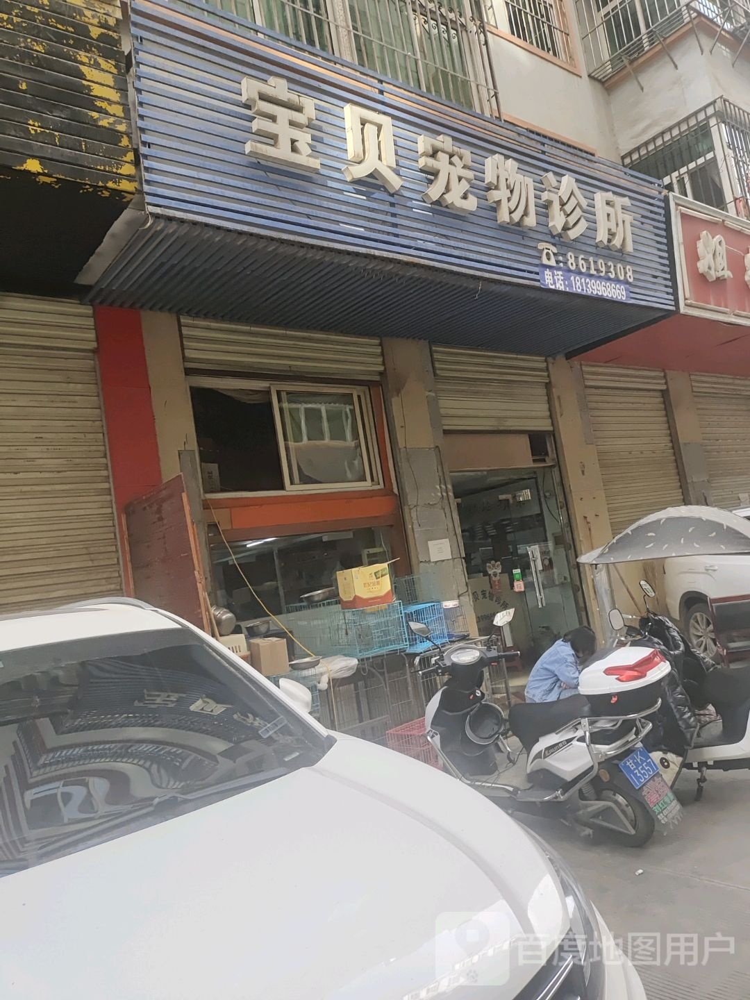 宝贝宠物诊所(人民路店)