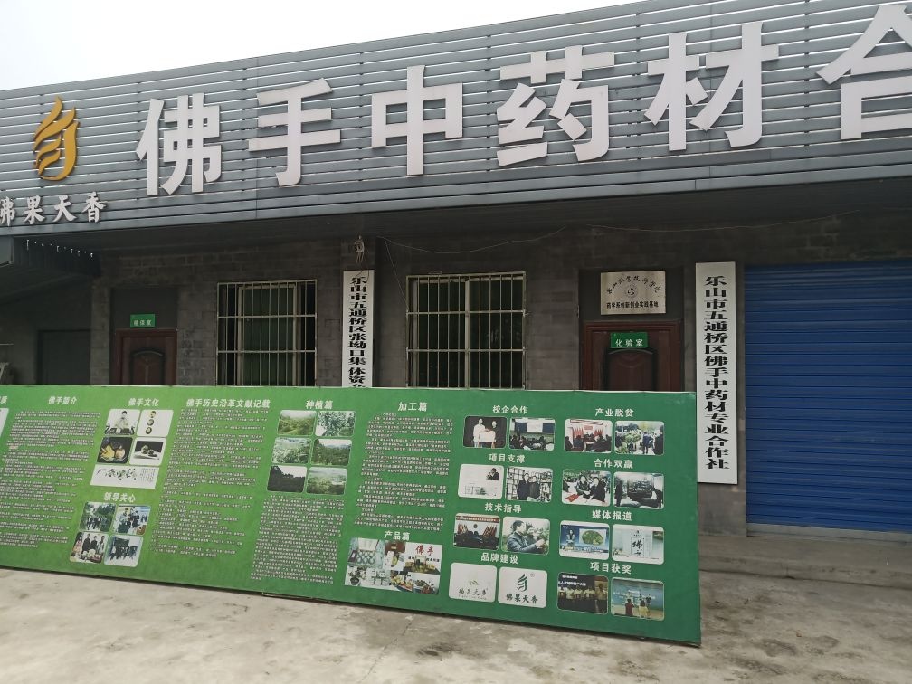 乐山市五通桥区佛手中药材专业合作社