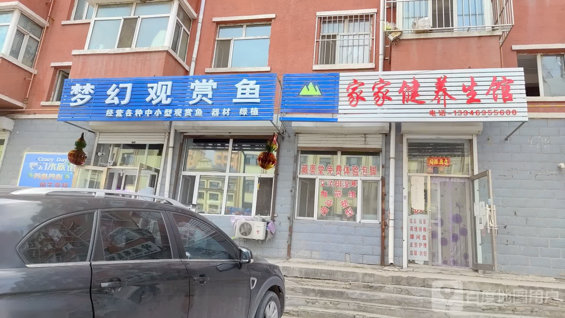 梦幻观赏鱼(家禾花园小区A区店)