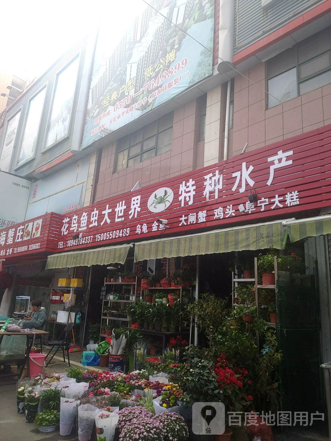 花鸟鱼虫大世界特种水产