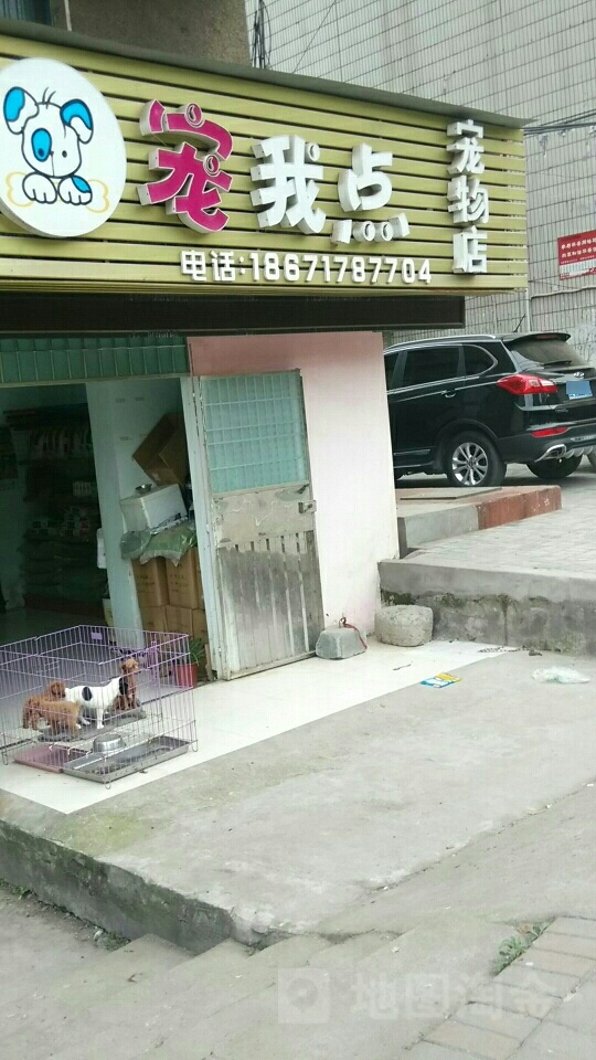 宠我点宠物店