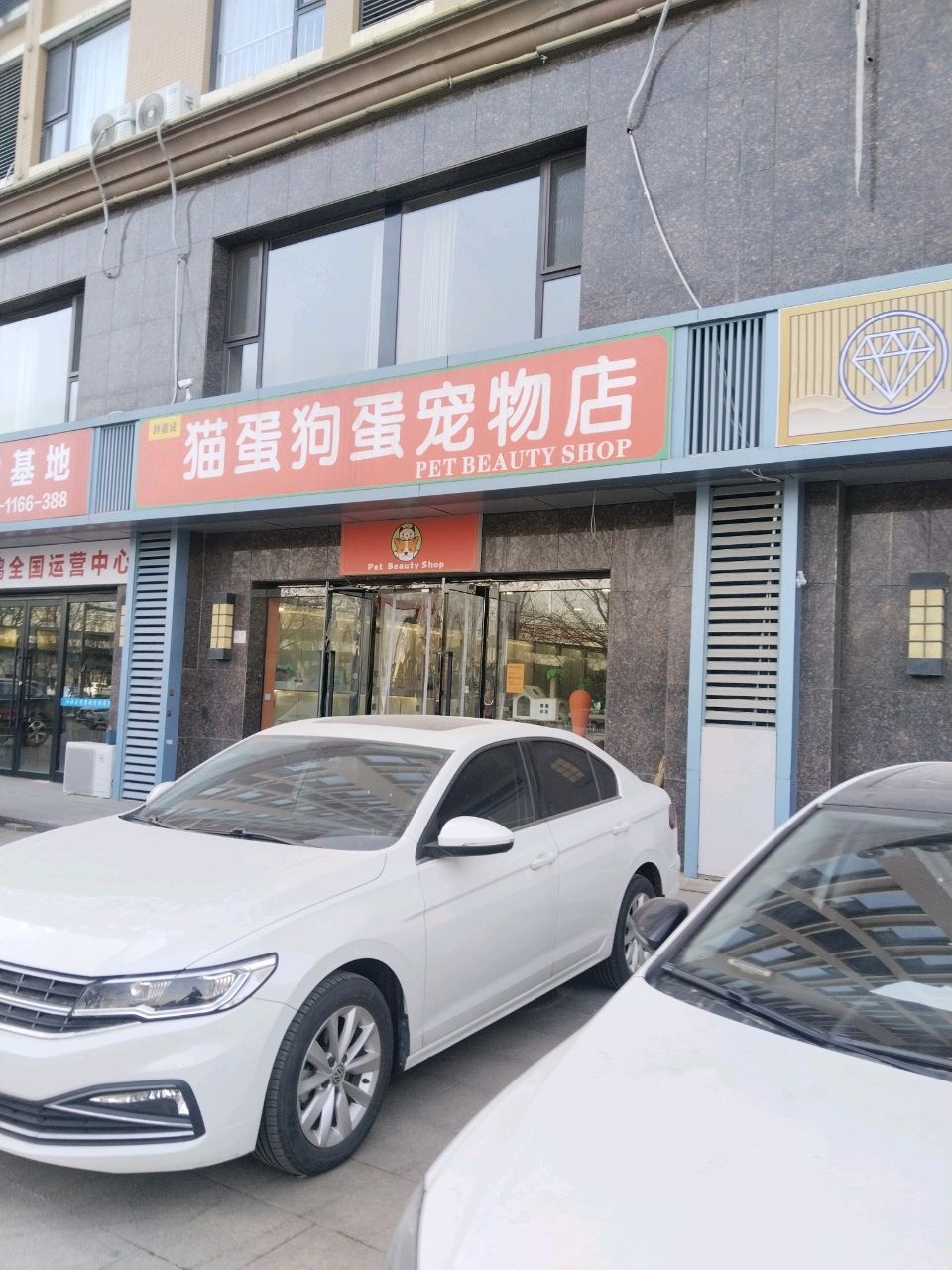 猫蛋狗蛋宠物店(雅郡店)