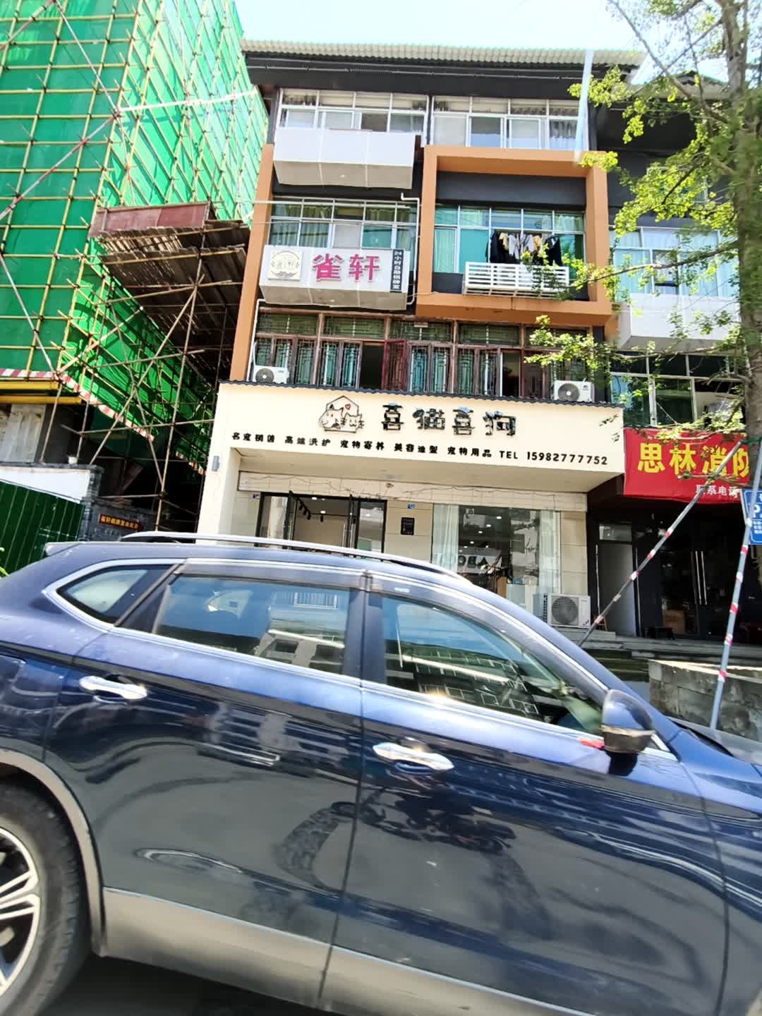喜猫喜狗