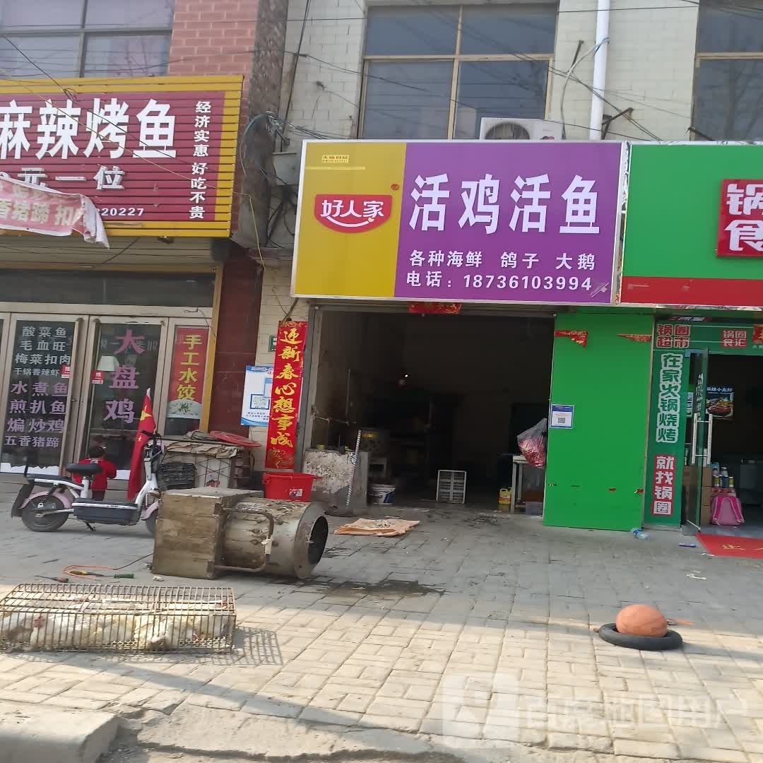 太康县毛庄镇活鸡活鱼(迎宾路店)