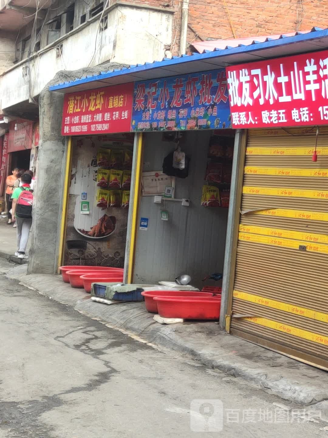 潜江小龙虾(直销店)