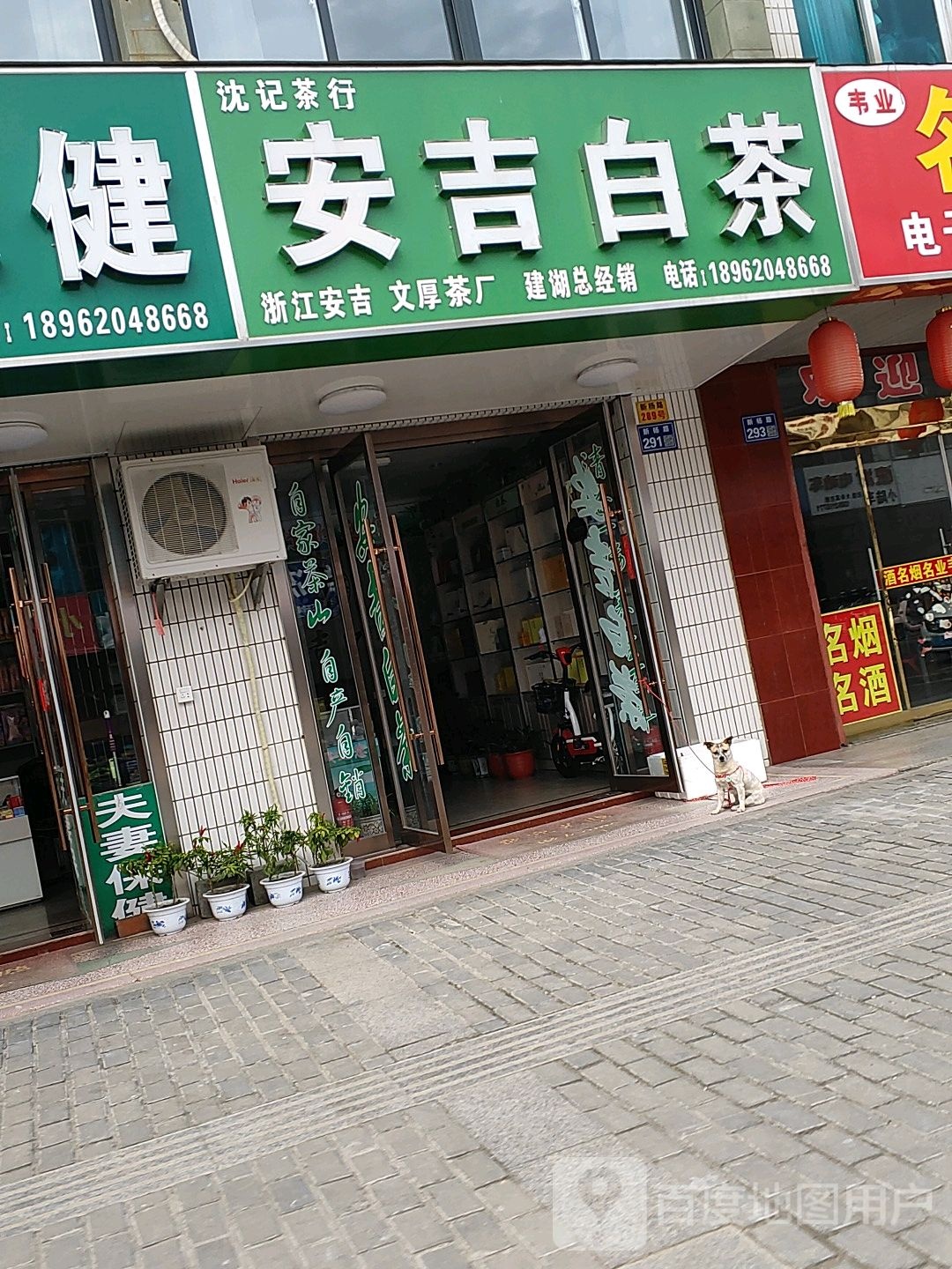 安吉白茶(新杨路店)