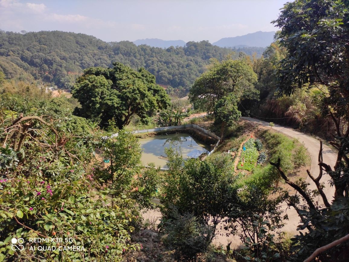 朱砂镇旺佑村坡脚生态种养殖基地