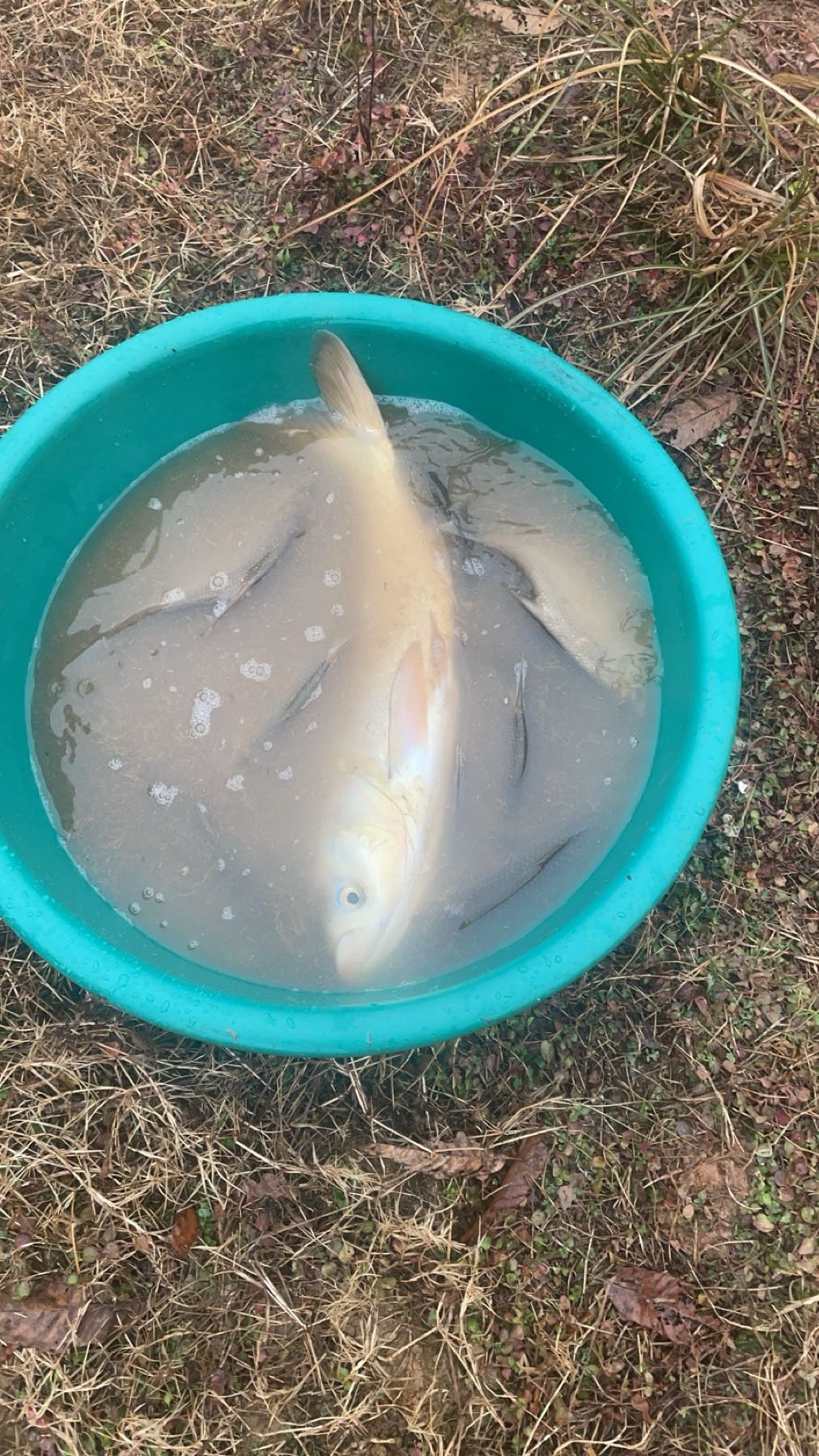 佳友钓鱼场