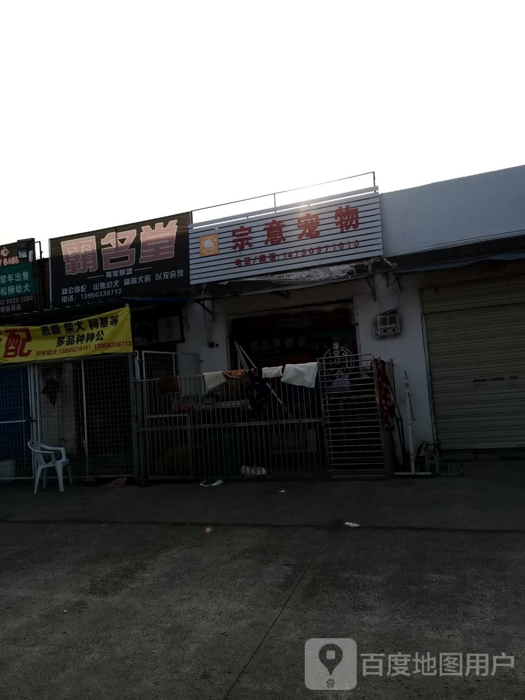 宗意宠物