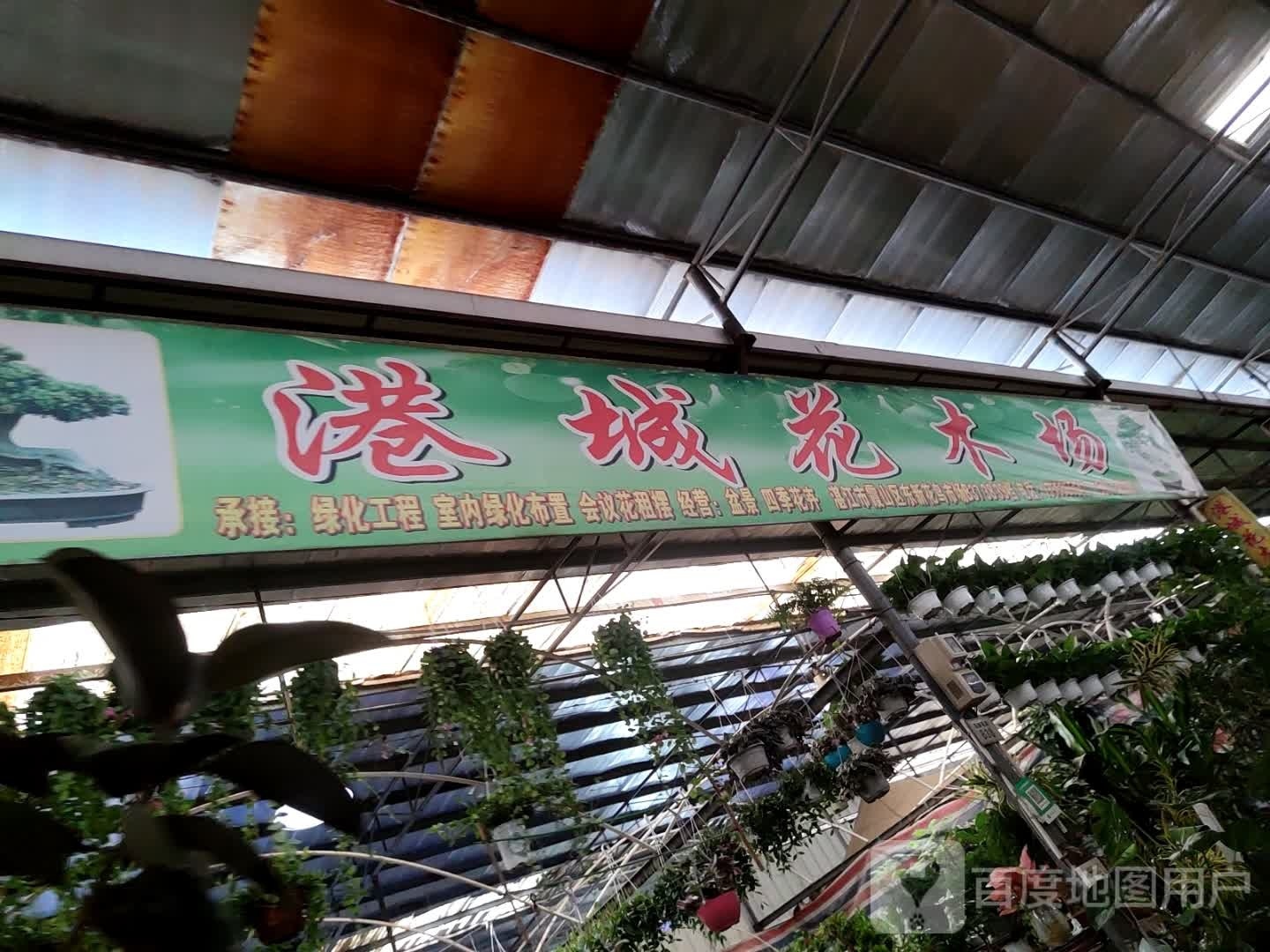 港城花木场