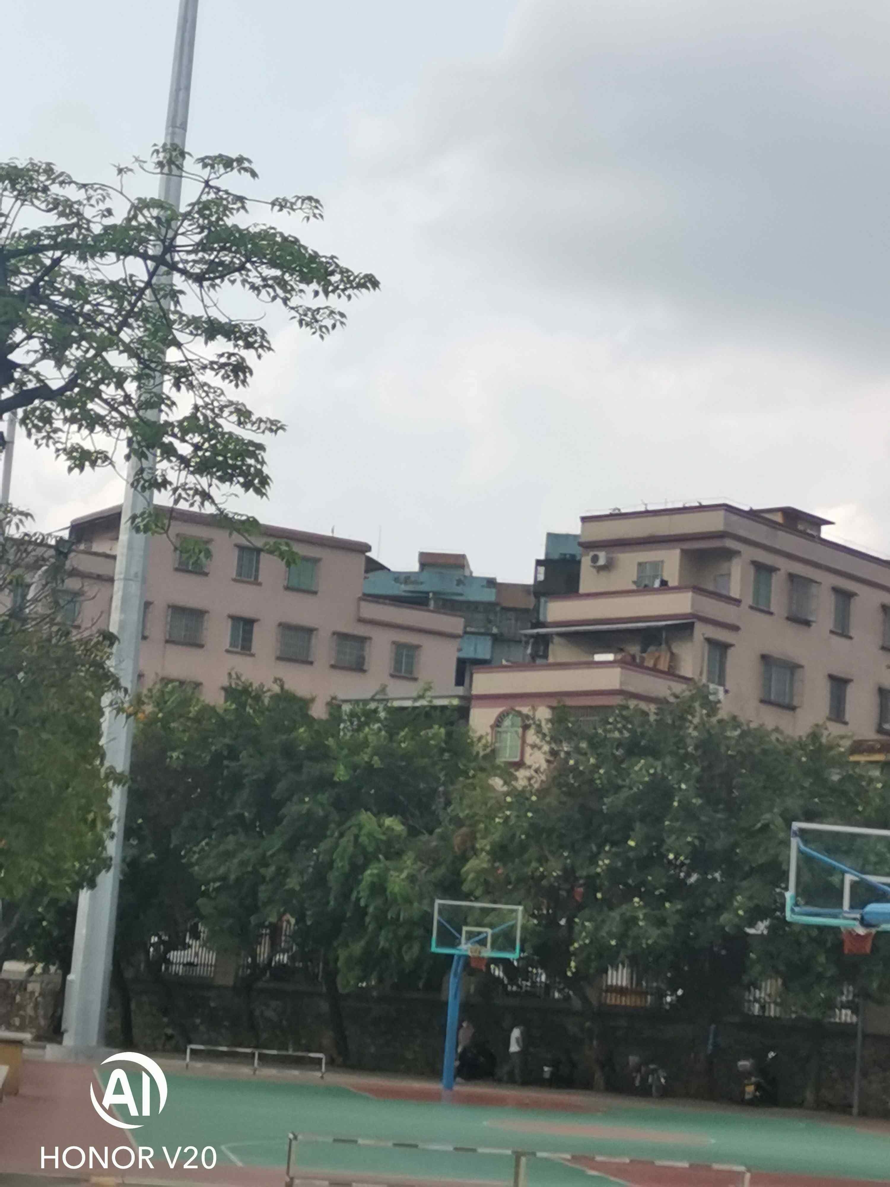鹤山市北湖湿地公园-户外篮球场