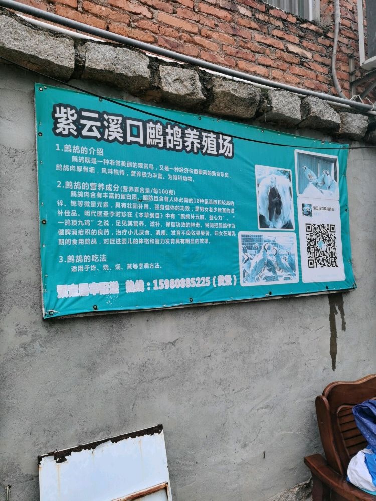 厦门市紫云溪口鹧鸪养殖场