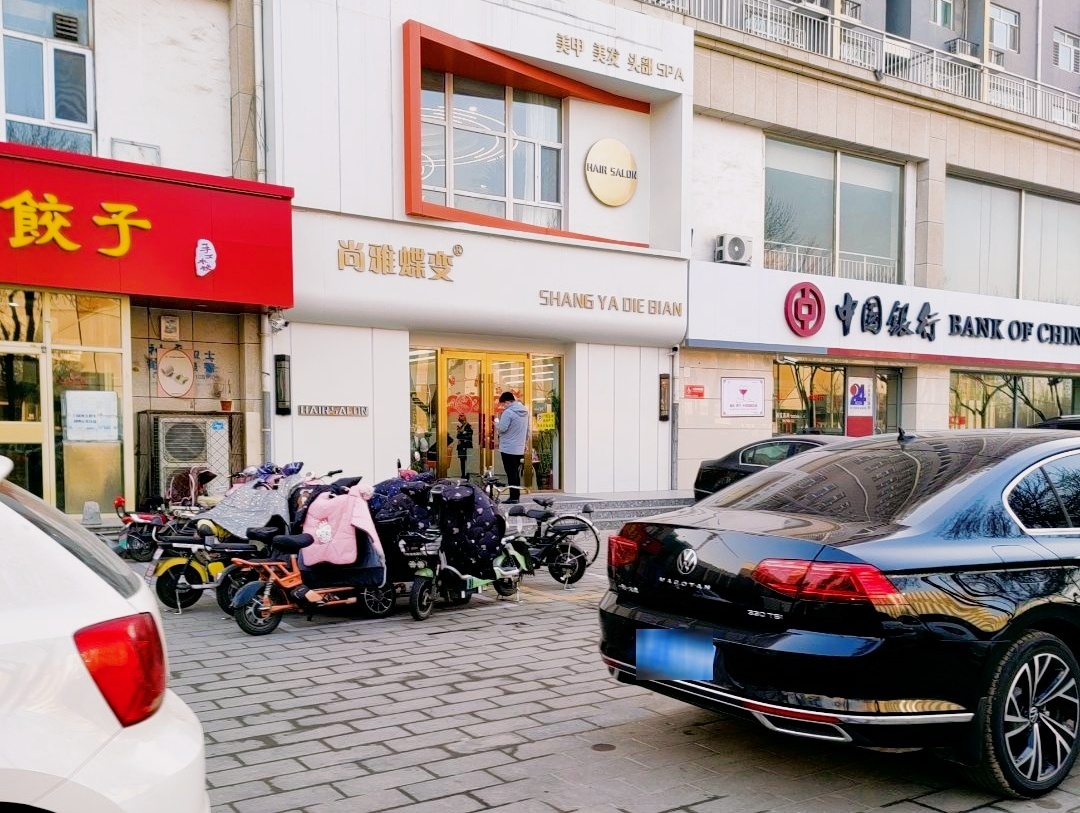 尚雅蝶变