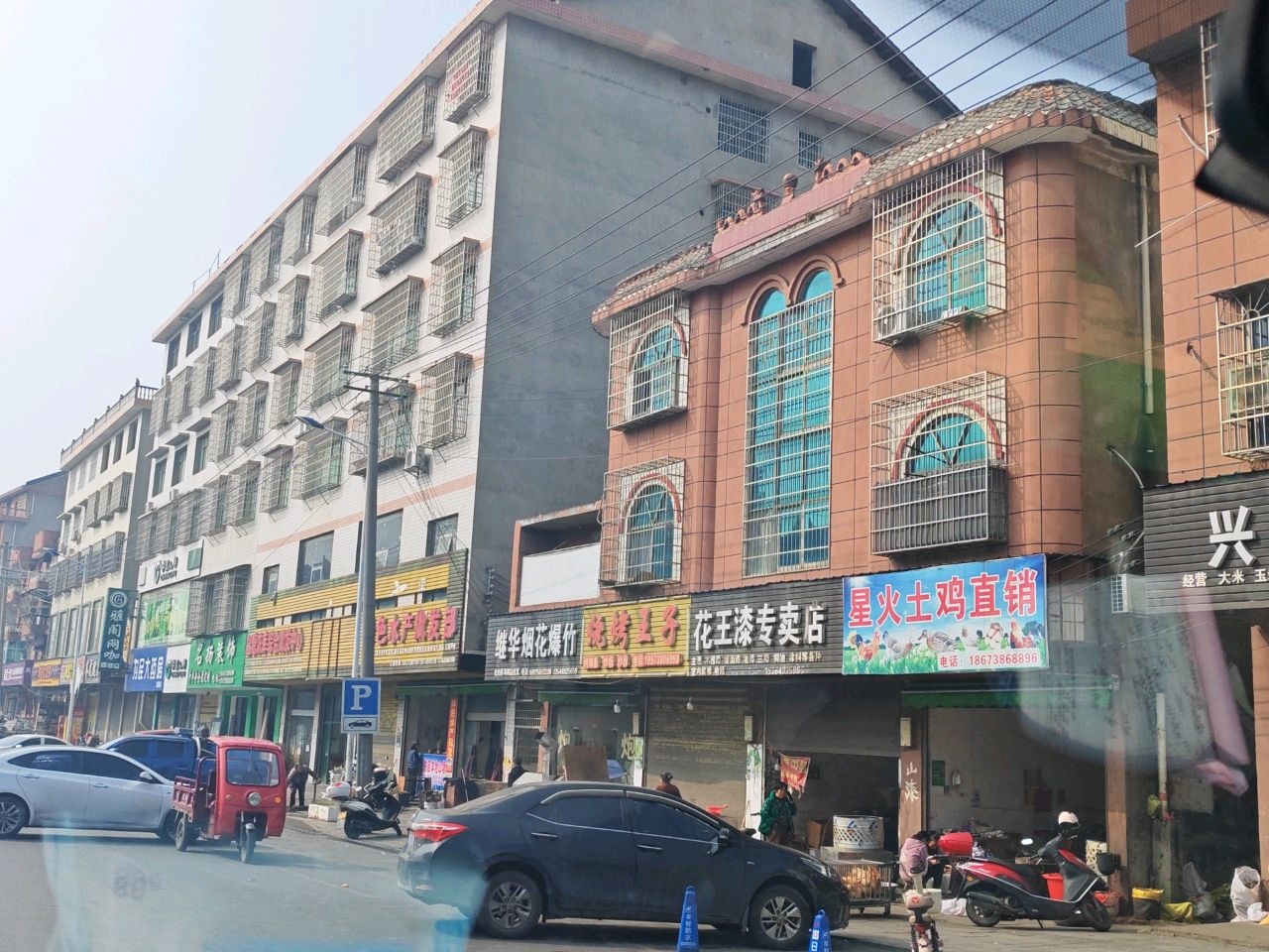 绿色水产批发部