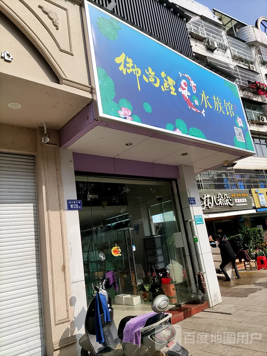 御尚鲤水族馆