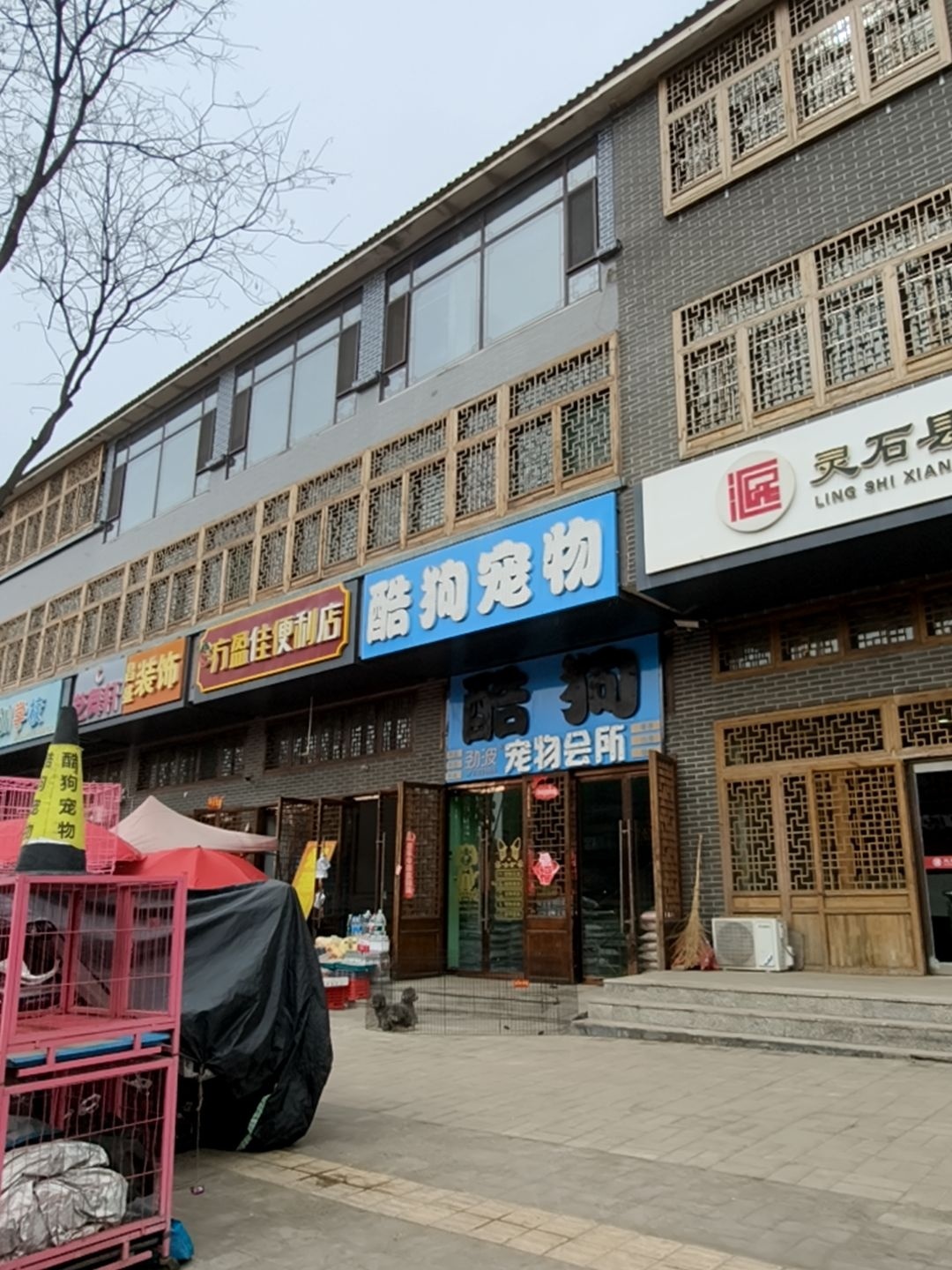 酷狗宠物(龙泉小区店)