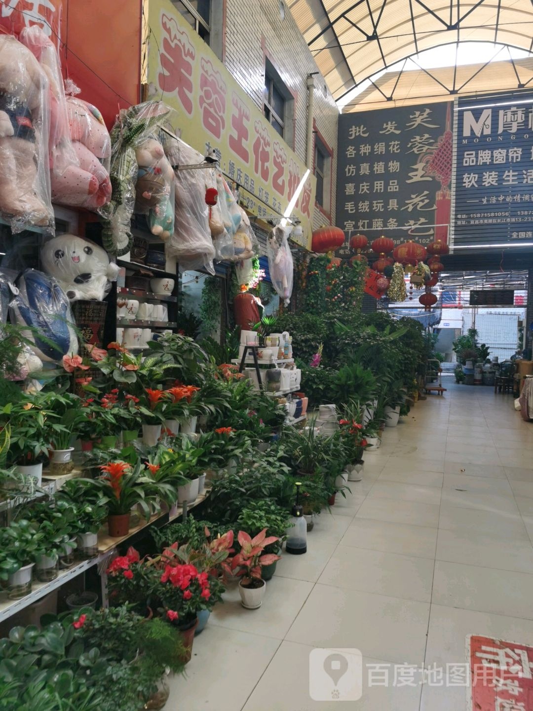 芙蓉王眼睛店