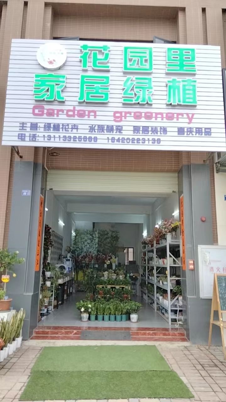 花园里家居绿植