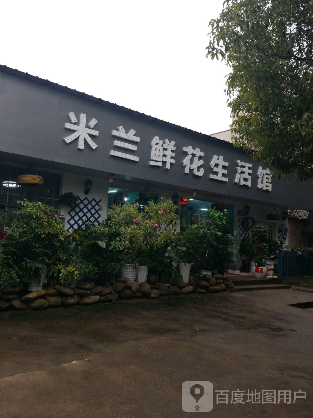 米兰鲜花生活馆(凤凰中大道店)
