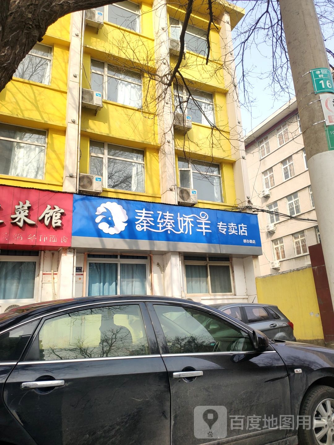 秦臻娇羊专卖店(群办路店)