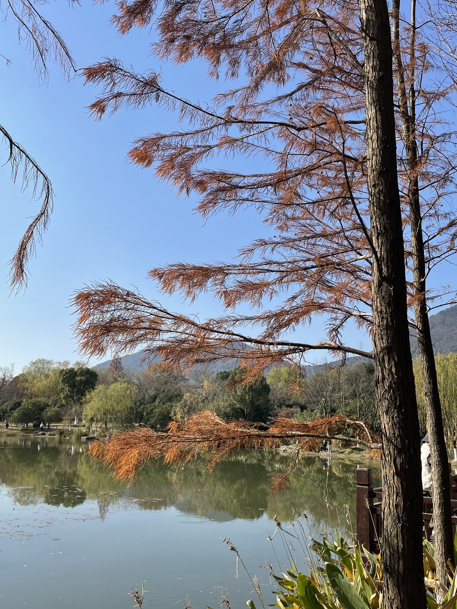 皋亭山景区-千桃园