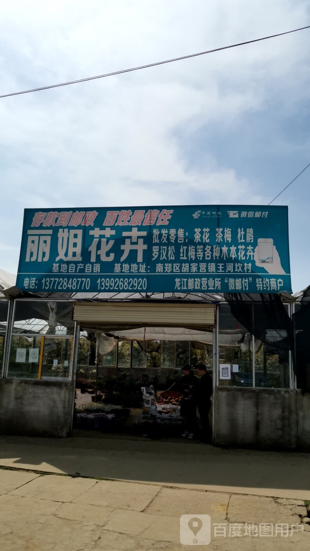 丽姐花卉
