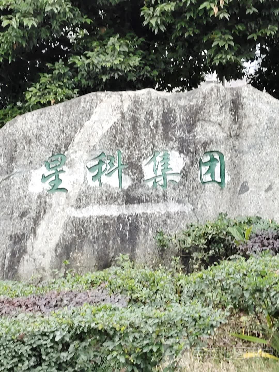 星科集团