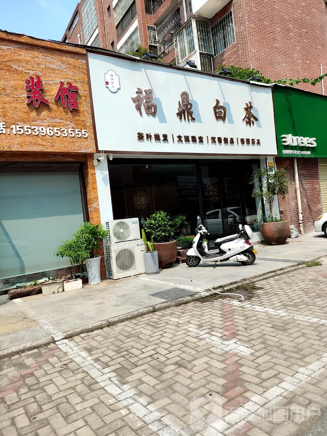 福鼎白茶(通达路店)