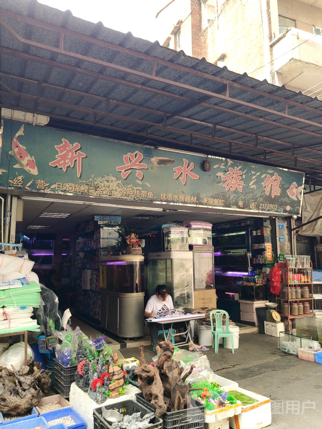 新兴水族馆
