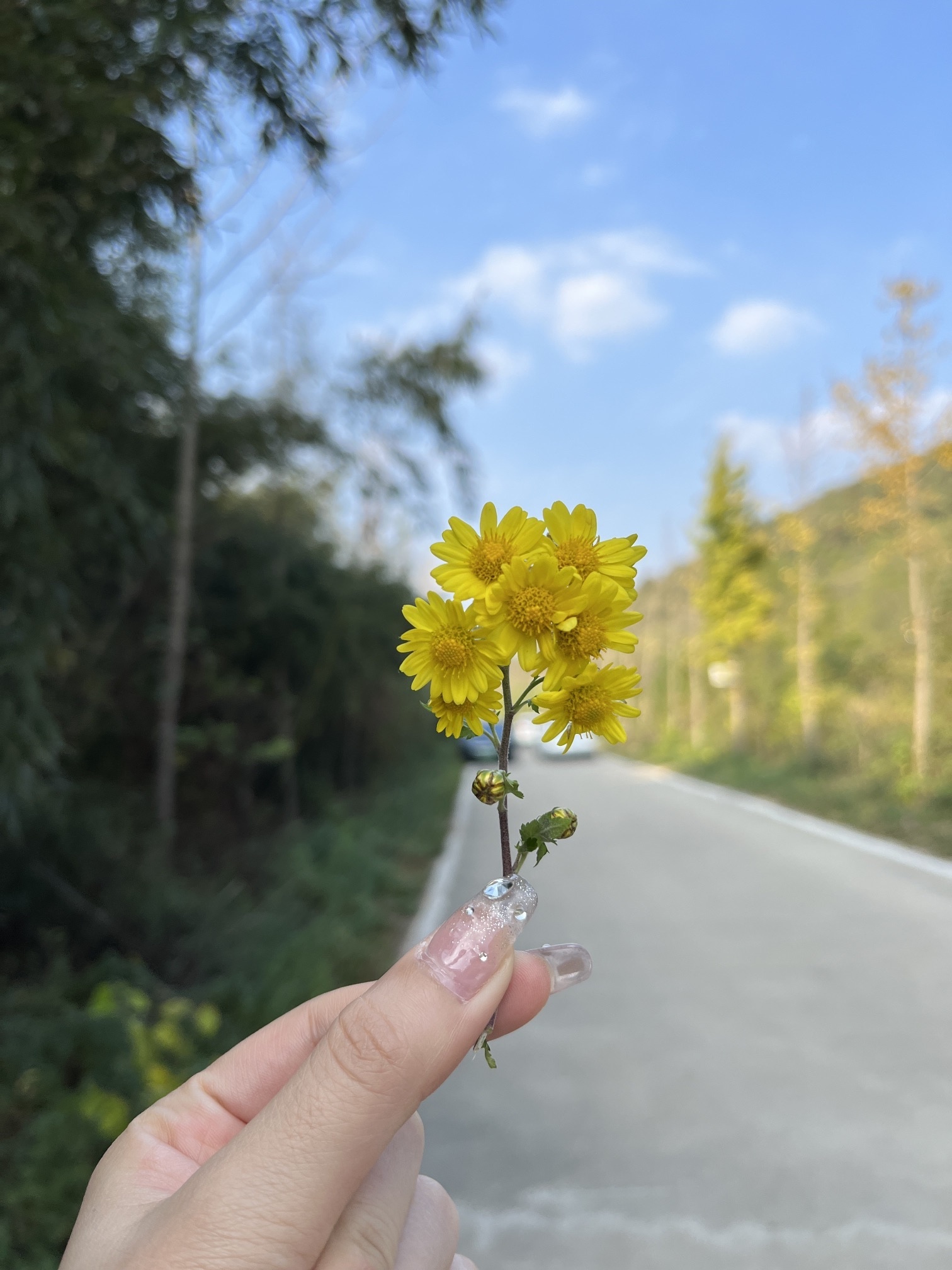 信阳五曲峡森林公园