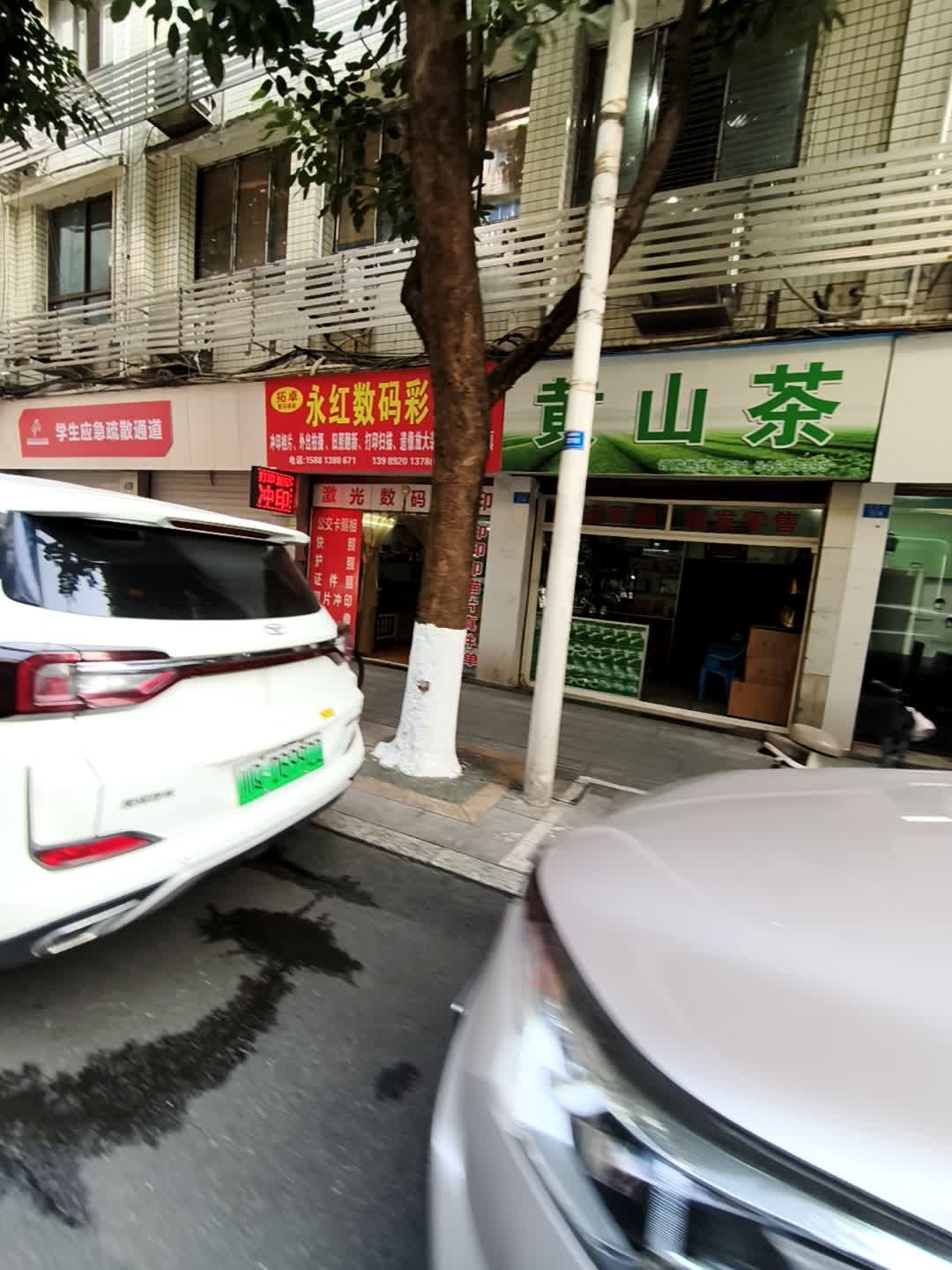 黄山茶