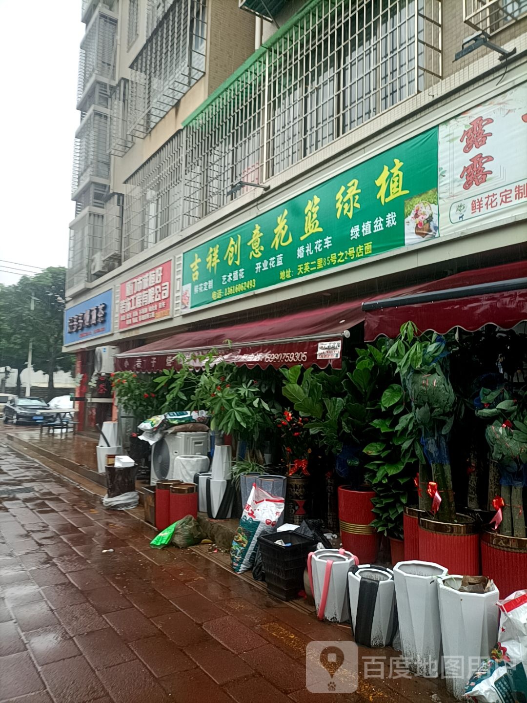 吉祥创意花篮绿植