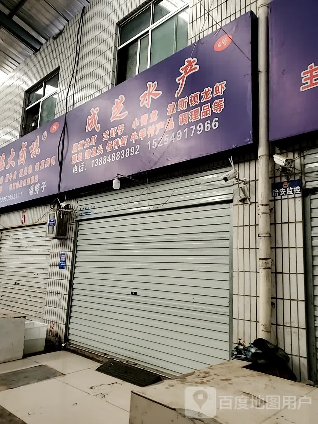 成芝镇水
