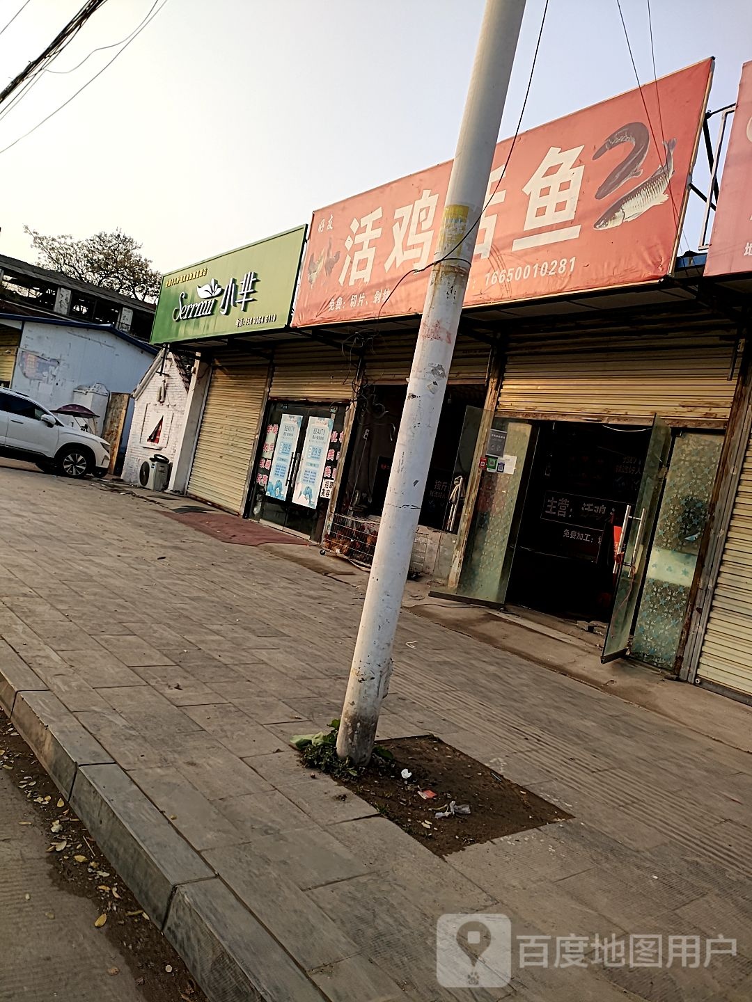 沈丘县槐店回族镇好友活鸡活鱼