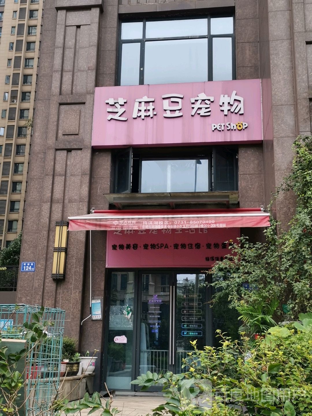 芝麻豆宠物