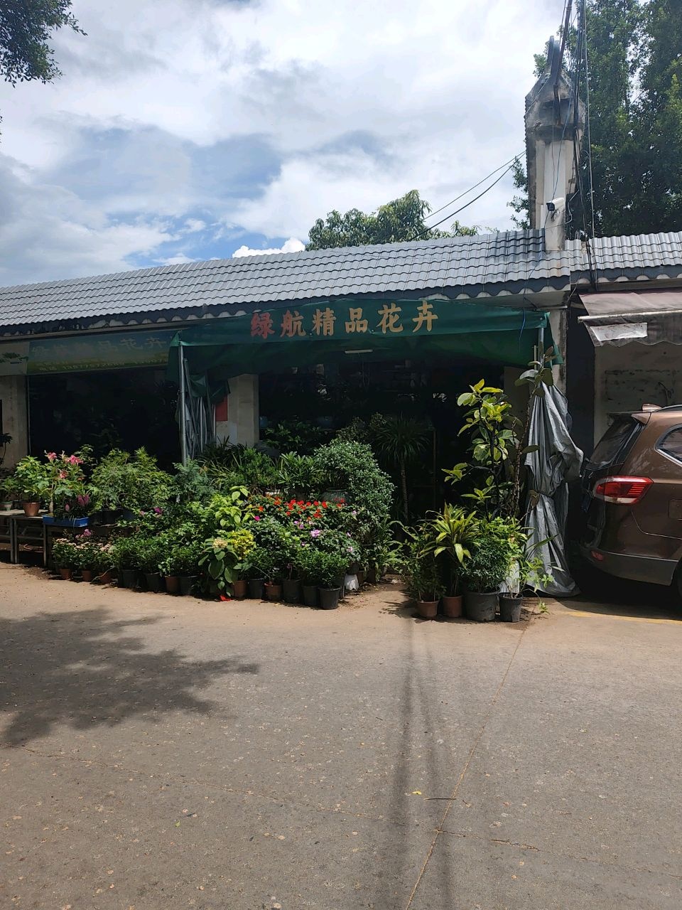 绿航精品花卉店