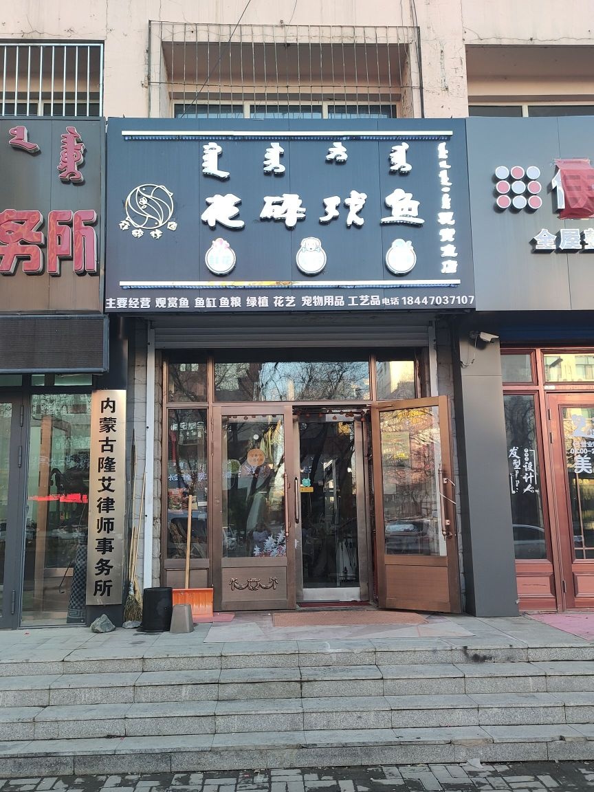 花碎戏鱼鲜花宠物水景店