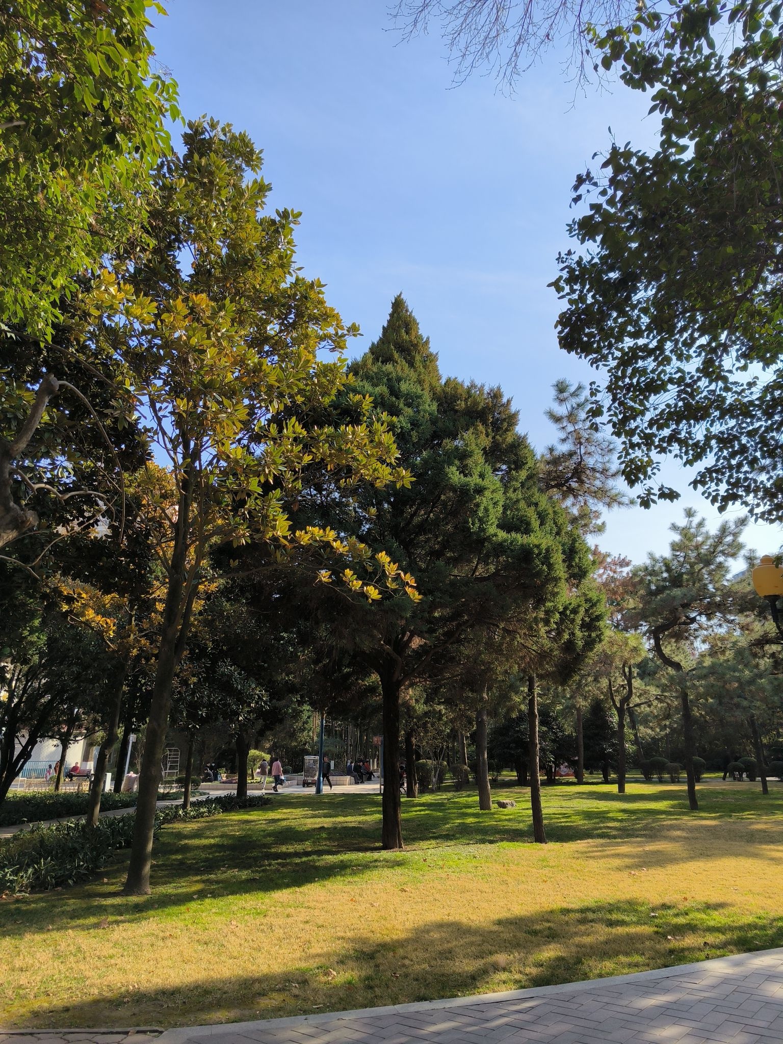 炎帝园公园