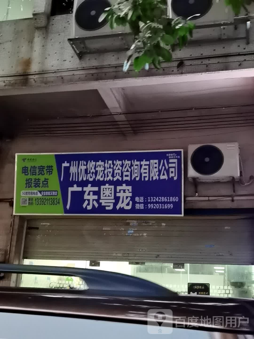 广东粤宠