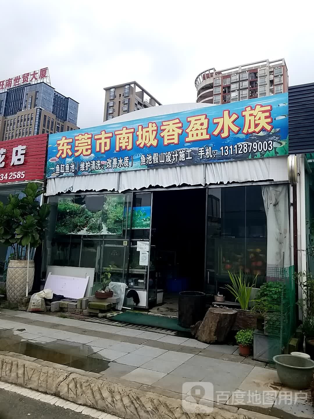 东莞市南城香盈水族(南城花卉世界店)