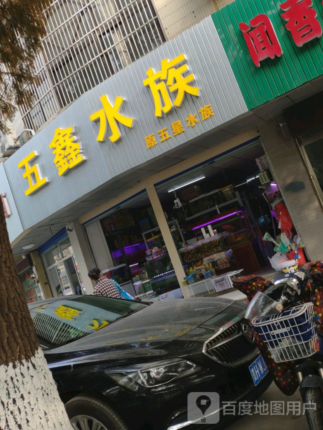 五鑫水族(东苑店)